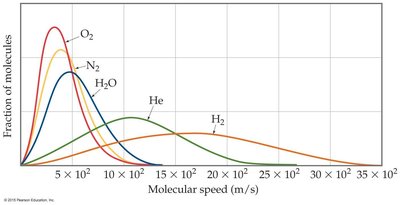 Speed distributions for different gases