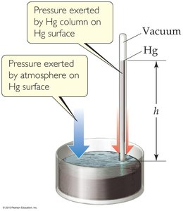 Mercury barometer for measuring pressure
