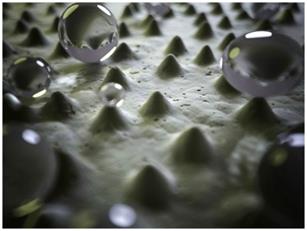 Water droplets on a surface due to surface tension