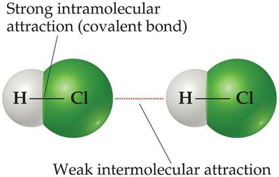 Strong intramolecular attraction (covalent bond) vs. weak intermolecular attraction