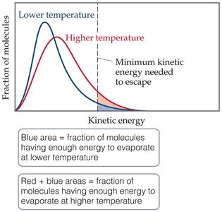 Kinetic energy distribution and vaporization