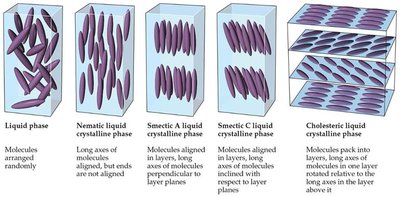 Types of liquid crystal phases