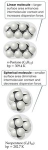 Linear vs. spherical molecules and dispersion forces
