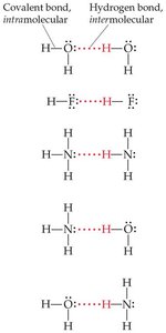 Hydrogen bonding between molecules