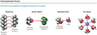 Intermolecular forces: dispersion, dipole-dipole, hydrogen bond, ion-dipole