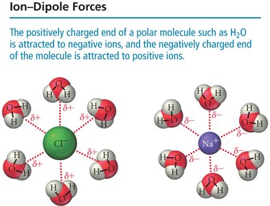Ion-dipole interactions: water molecules surround ions
