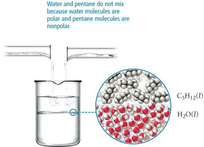 Water and pentane do not mix: polar vs nonpolar