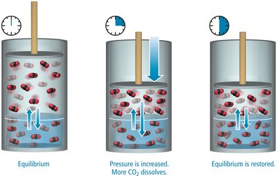 Pressure increases gas solubility: equilibrium restored