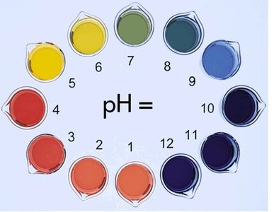 pH color wheel showing indicator color changes