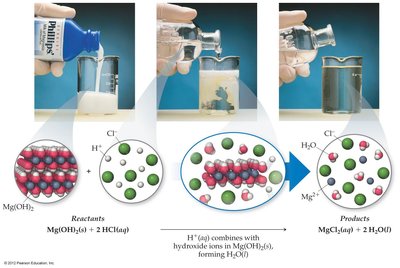 Neutralization reaction between Mg(OH)2 and HCl
