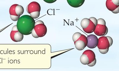 Water molecules surrounding Na+ and Cl- ions