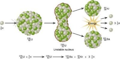 Nuclear fission of uranium-235