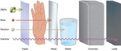 Penetrating power of alpha, beta, neutron, and gamma radiation