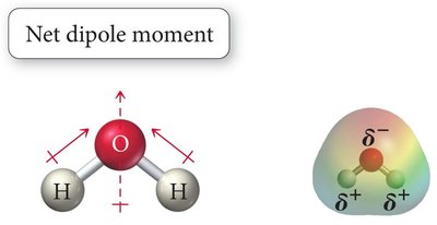 H2O net dipole moment