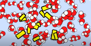 Molecular-level depiction of Brownian motion with water molecules and particles