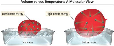 Molecular view: Volume versus Temperature