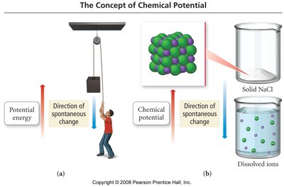 The concept of chemical potential: potential energy and chemical potential driving spontaneous change