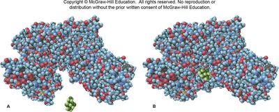 General Chemistry Chemical Bonding Theories Study Guide | Notes