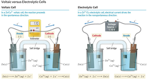 Comparison of voltaic and electrolytic cells