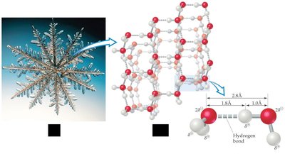 Hydrogen bonding in ice structure