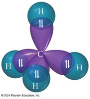 sp3 hybrid orbitals in methane