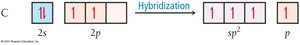 sp2 hybridization energy diagram
