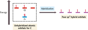 Energy diagram for sp3 hybridization in carbon
