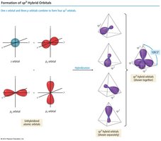 Formation of sp3 hybrid orbitals from s and p orbitals