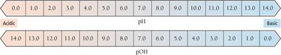 pH and pOH scale diagram