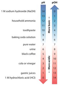 pH and pOH values for common substances
