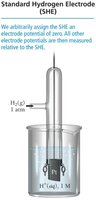 Standard Hydrogen Electrode (SHE) setup