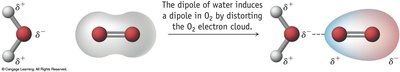 Water induces dipole in O2
