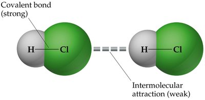 Comparison of covalent bond and intermolecular attraction in HCl