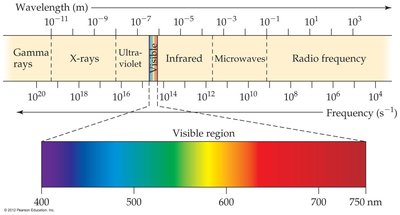 Electromagnetic spectrum with visible region highlighted