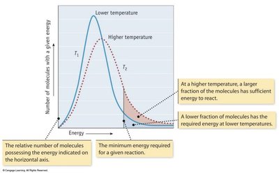 Distribution of molecular energies at different temperatures