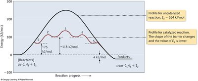 Catalyst lowers activation energy