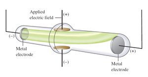 Diagram of cathode ray tube with electric field