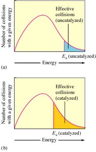 Distribution of molecular energies with and without a catalyst
