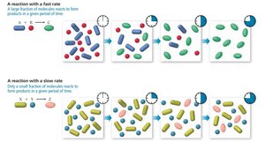 Fast and slow reaction rates illustrated