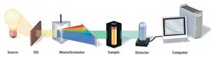 Spectroscopy setup for monitoring reactions