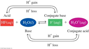 Conjugate acid-base pairs: HF and H2O
