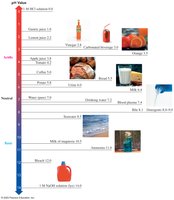 pH values of common substances
