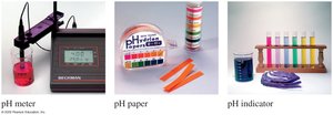 pH meter, pH paper, and pH indicators
