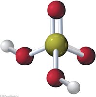 Molecular model of sulfuric acid