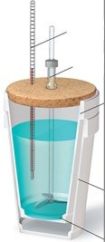 Coffee-cup calorimeter diagram