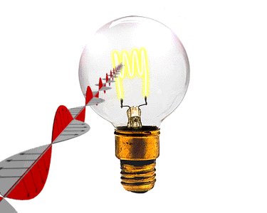 Light bulb emitting electromagnetic waves