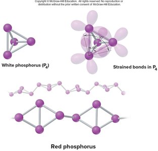 Allotropes of phosphorus: white and red phosphorus structures