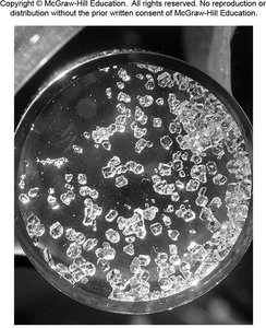 Crystals of xenon tetrafluoride (XeF4)