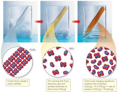 N2O4 and NO2 equilibrium demonstration