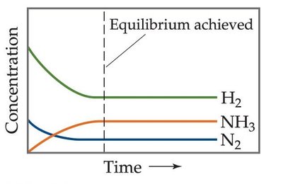 Equilibrium concentrations graph for Haber process